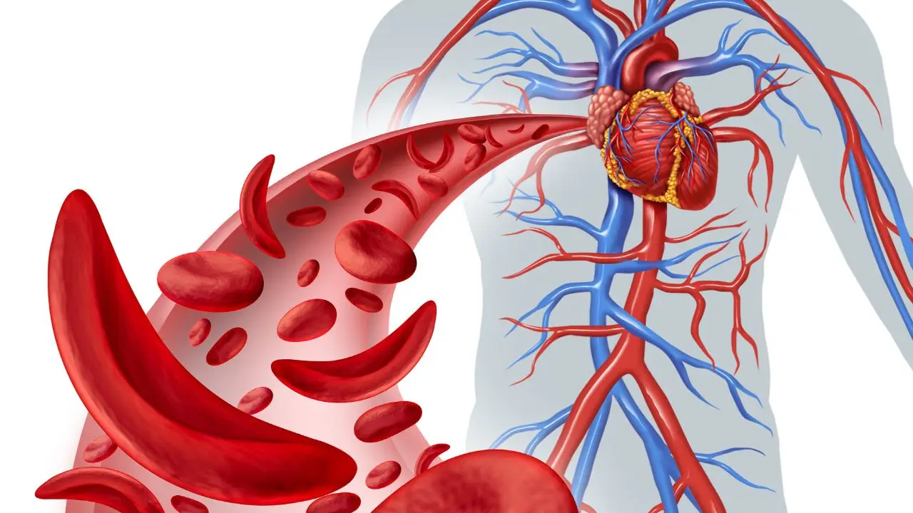 Allarme fibrosi cronica: ecco cosa succede davvero al tuo corpo e come prevenirla